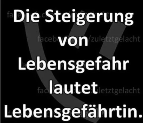 1000209746.webp
