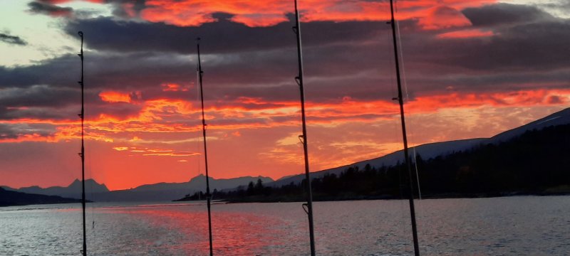 20201005_174956.jpg