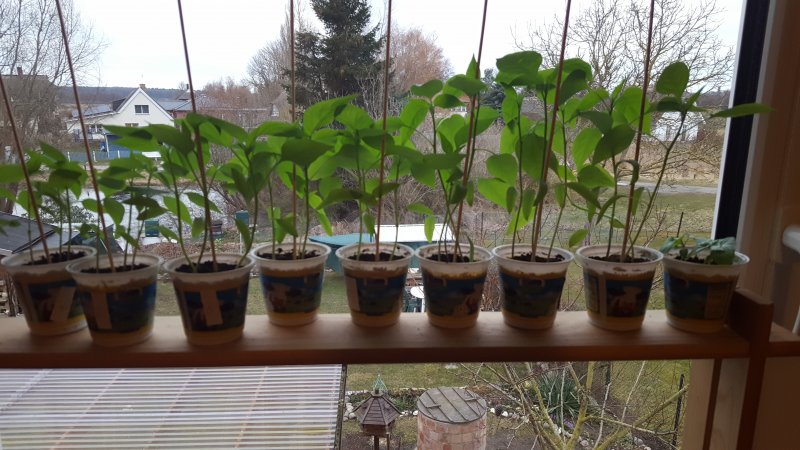 20210323_174833.jpg