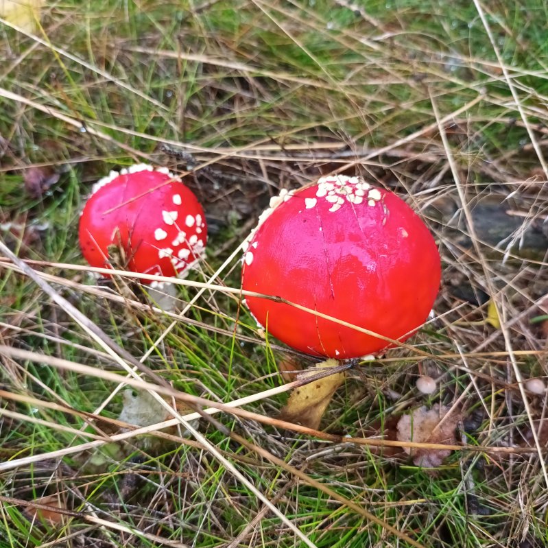 20241010_164044.jpg