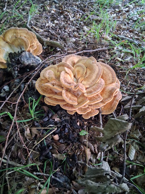 20250730_111404.jpg