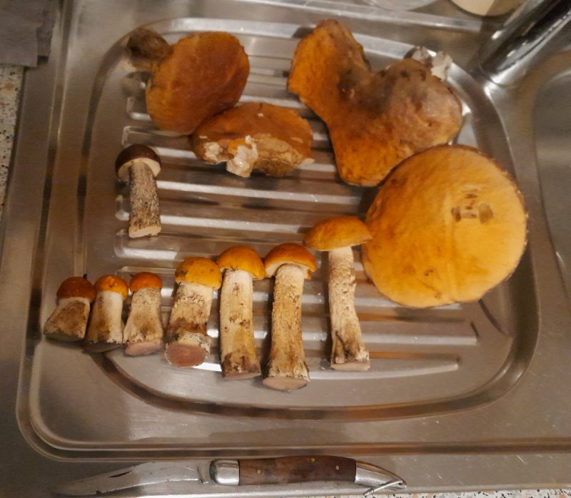 20250923_211914.jpg