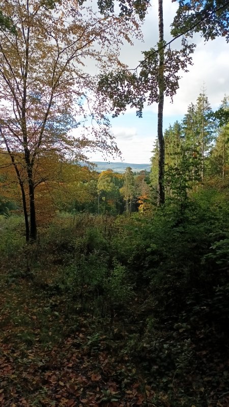 20251018_124520.jpg