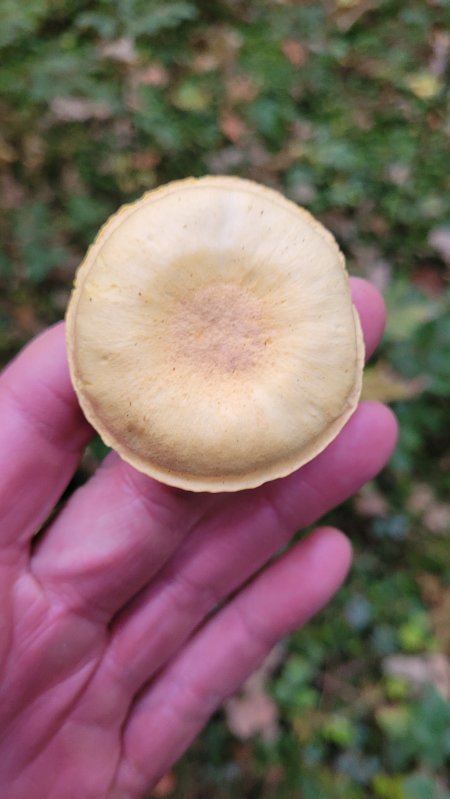 20251019_170846.jpg