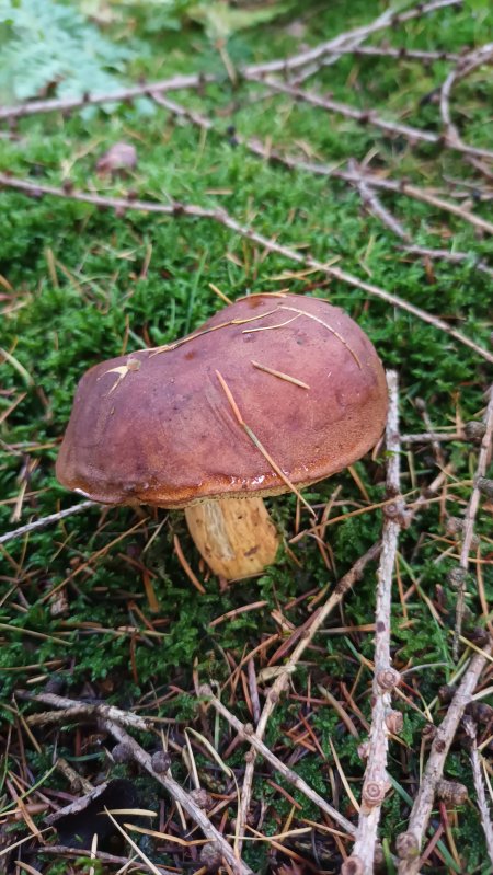 20251030_163621.jpg 20251030_163621.jpg