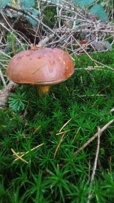 20251030_163816.jpg 20251030_163816.jpg