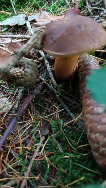 20251030_164102.jpg 20251030_164102.jpg