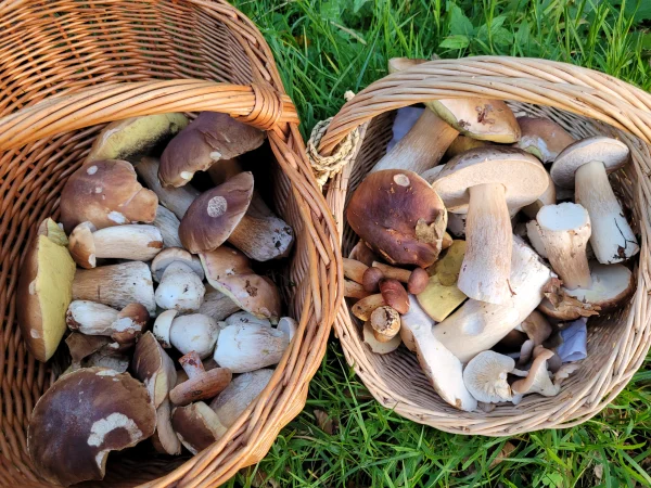 20261028_165004.webp