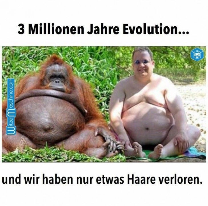 3_Millionen_Jahre_Evolution.jpg
