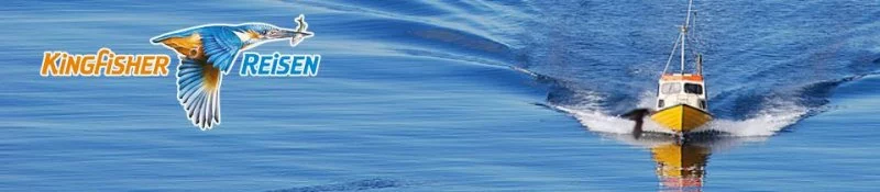 Bild gewinnspiel 3.webp