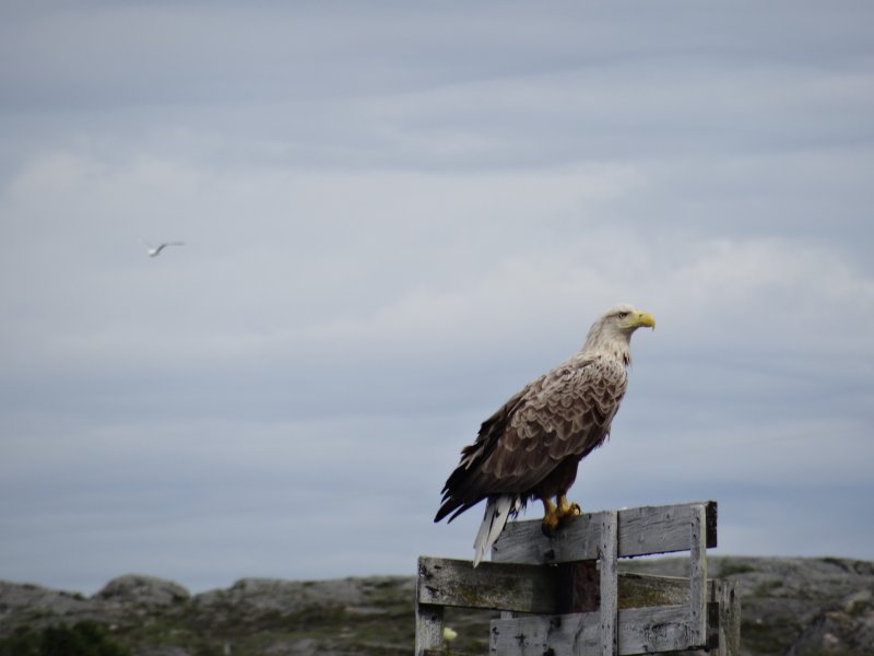 DSC00941.JPG