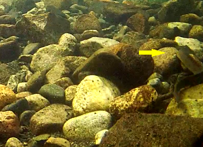 Etne Aal 23.06.21.png