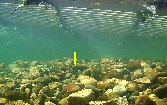 Etne Aal 26.06.21.png