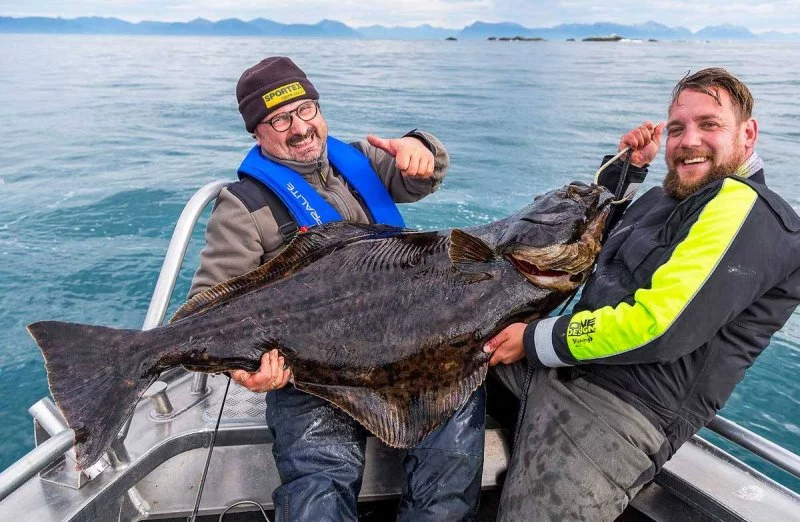 Fisch und Fang2.webp