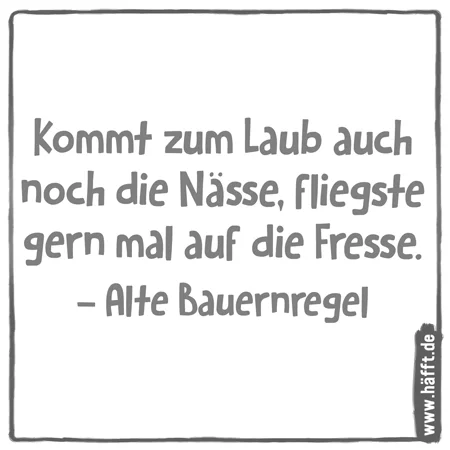 herbst3.webp