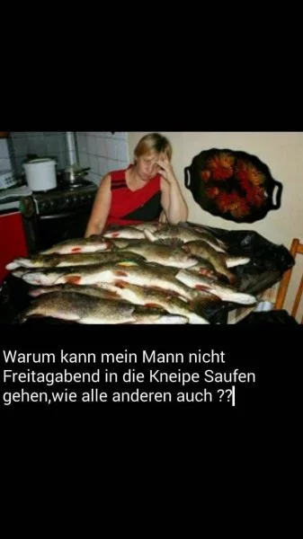 IMG-20170329-WA0004.webp