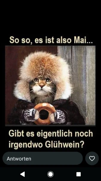 IMG-20260513-WA0011.webp