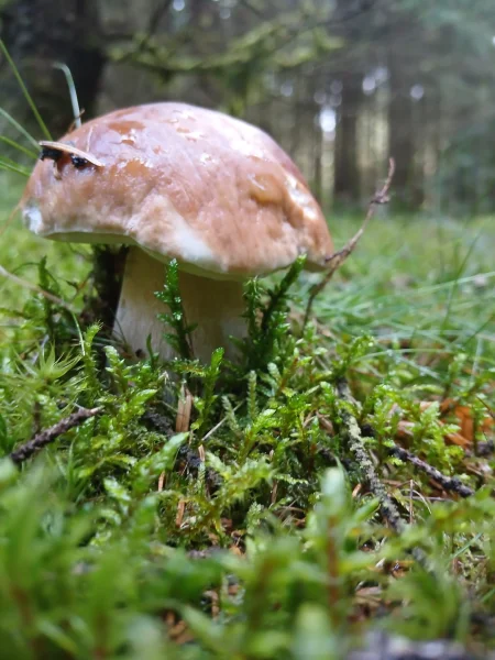 IMG-20260907-WA0004.webp