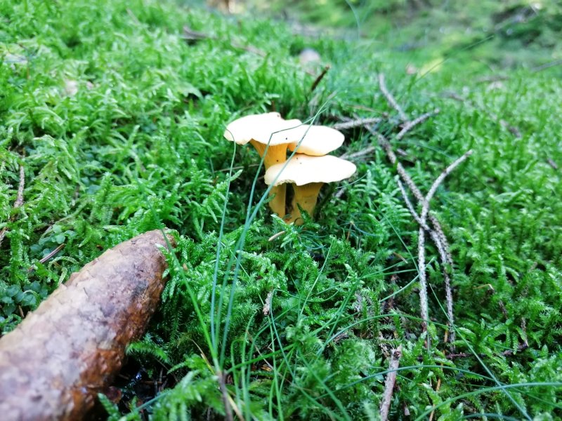 IMG_20211009_135423 (1).jpg