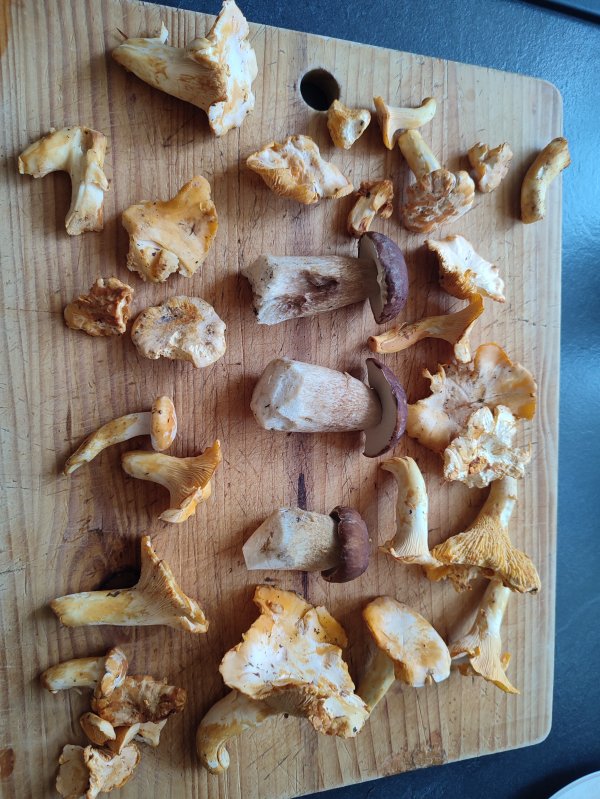 IMG_20240710_194659.jpg IMG_20240710_194659.jpg