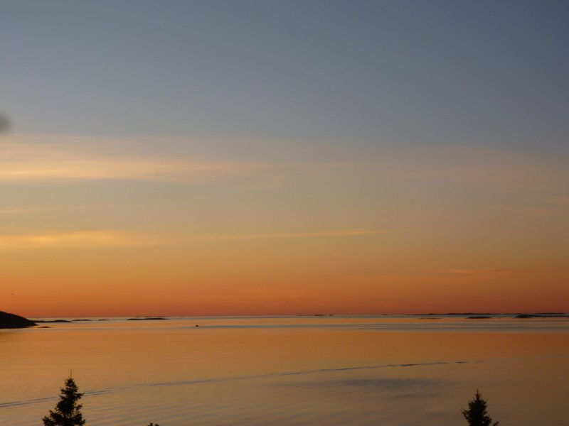 orange-blick aus unserem haus.JPG