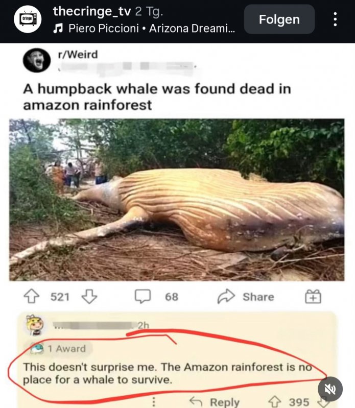 Screenshot_20250809_135541_Instagram.jpg