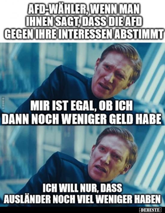 was-passiert-eigentlich-wenn-die-afd-mal-ein-land-oder-noch-v0-jey6fpo9mqmd1.jpeg