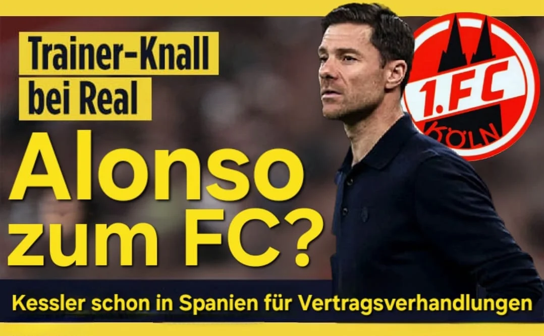 WhatsApp Image 2026-01-13 at 10.11.55.webp