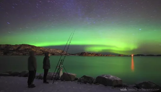 Kopie von _MG_2489.webp