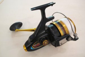 IMG_3868.JPG