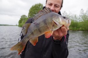 IMGP0887 (640x424).jpg