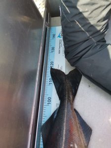 IMG_20190718_132849.jpg