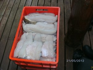 BILD0047.JPG