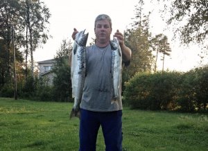 Handybilder 1379.jpg