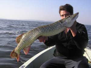 oct 14 bodden 026.jpg