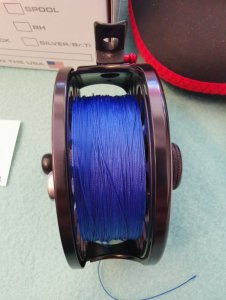 IMG_20200808_094202.jpg