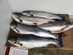 IMG_20200822_162020.jpg
