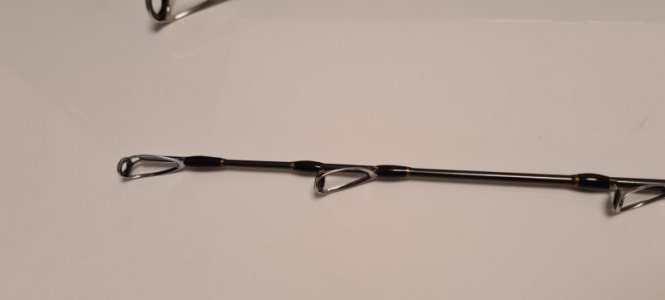 20201129_165415.JPG
