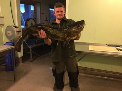 Norwegen 2017 056.JPG