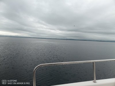 IMG_20220718_090953_117.jpg
