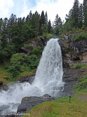 IMG_20220714_132526_775.jpg
