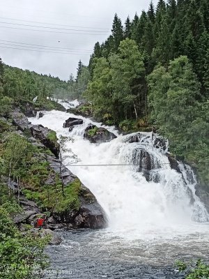 IMG_20220714_123439_862.jpg
