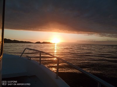 IMG_20220712_223546_836.jpg