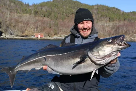 IMG_0959 (1280x853).webp