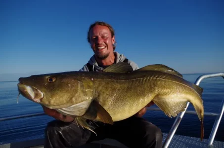 IMGP1734 (800x530).webp