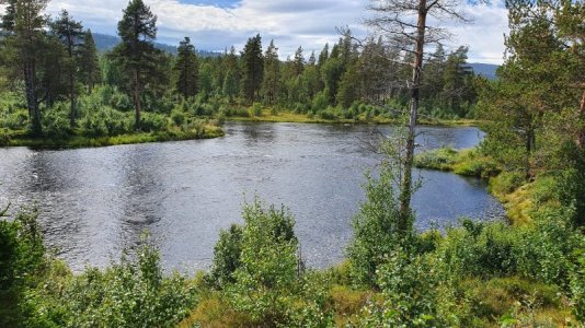 20220819_153342 (1).jpg