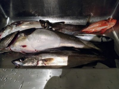 IMG-20230718-WA0003 (2).jpg