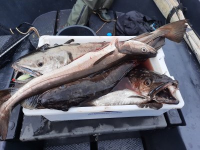 20230727_104452 (2).jpg