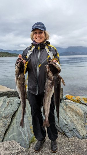 Seehechte - der Fisch der zweiten Jahreshälfte.jpg