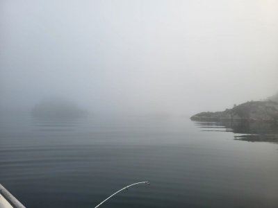 IMG-20240627-WA0009.jpg